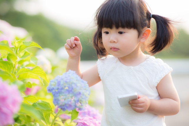 育脳において重要なこと
