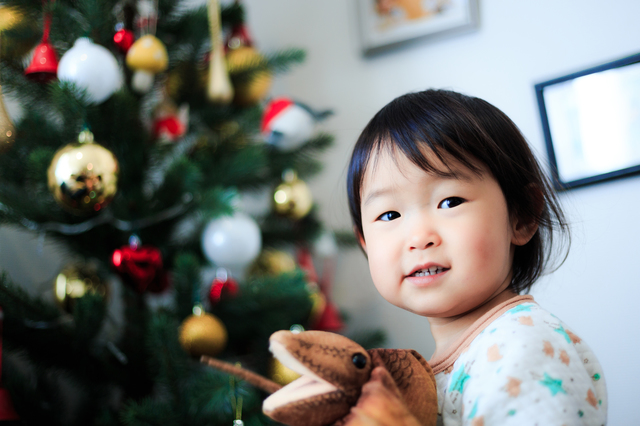 小さい子へのクリスマスプレゼントにおススメの知育玩具